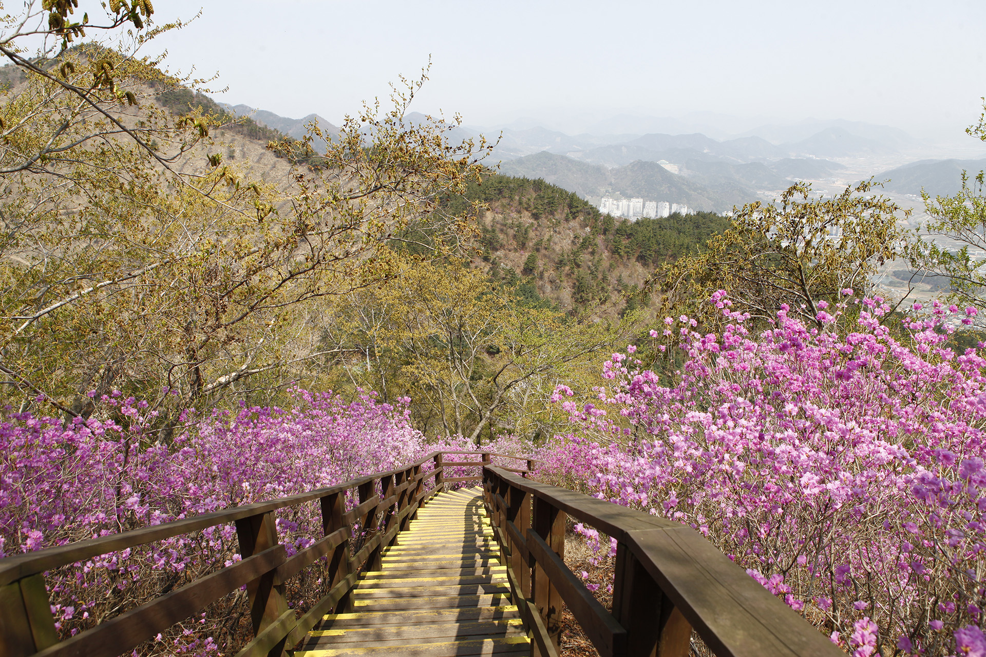 천주산